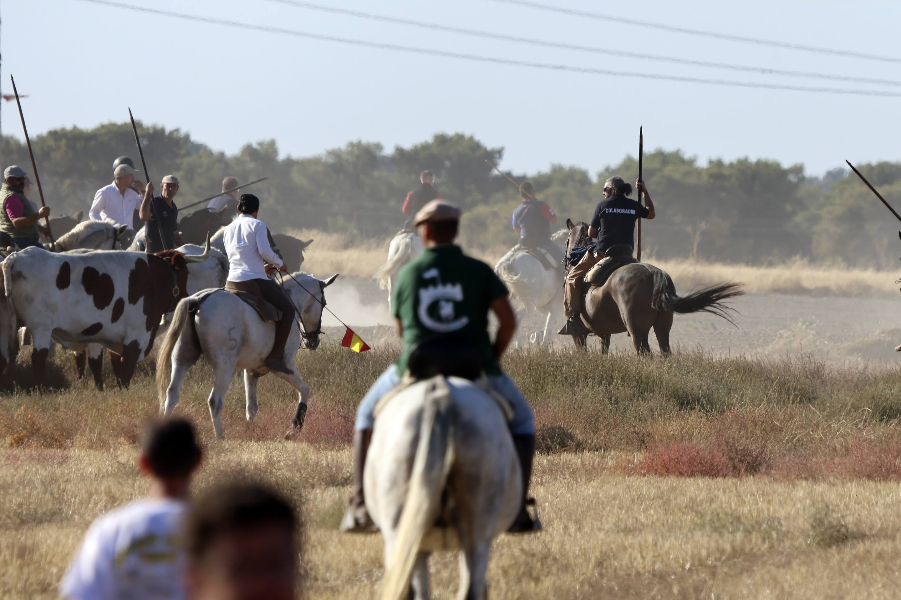 Las imágenes del encierro en Olmedo