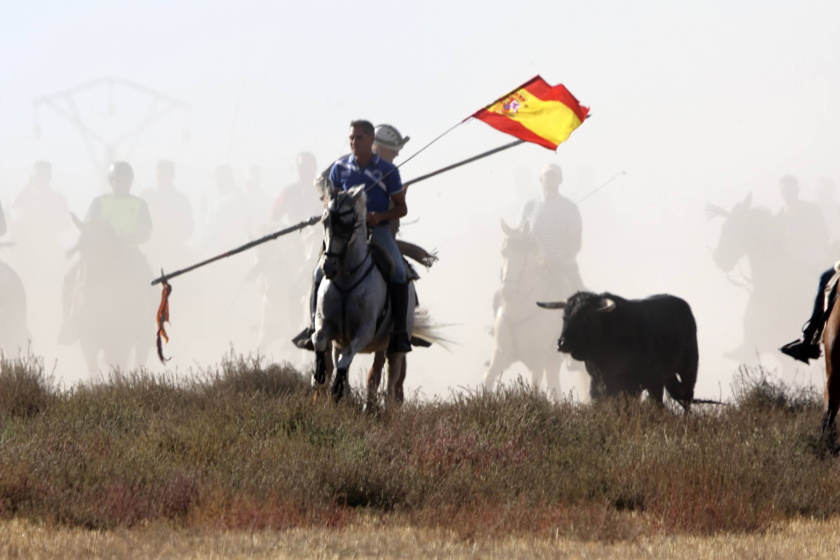 Las imágenes del encierro en Olmedo