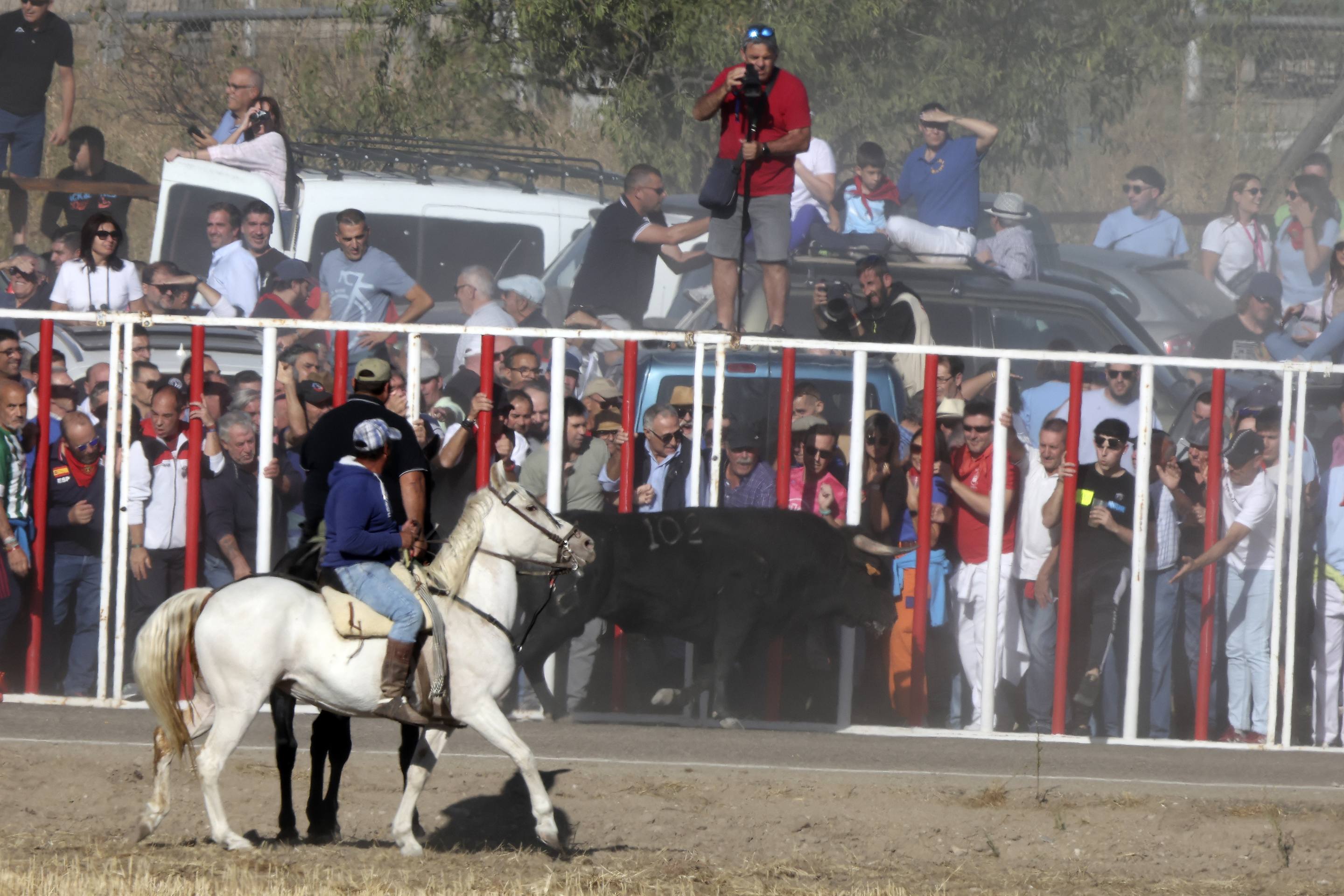 Las imágenes del encierro en Olmedo