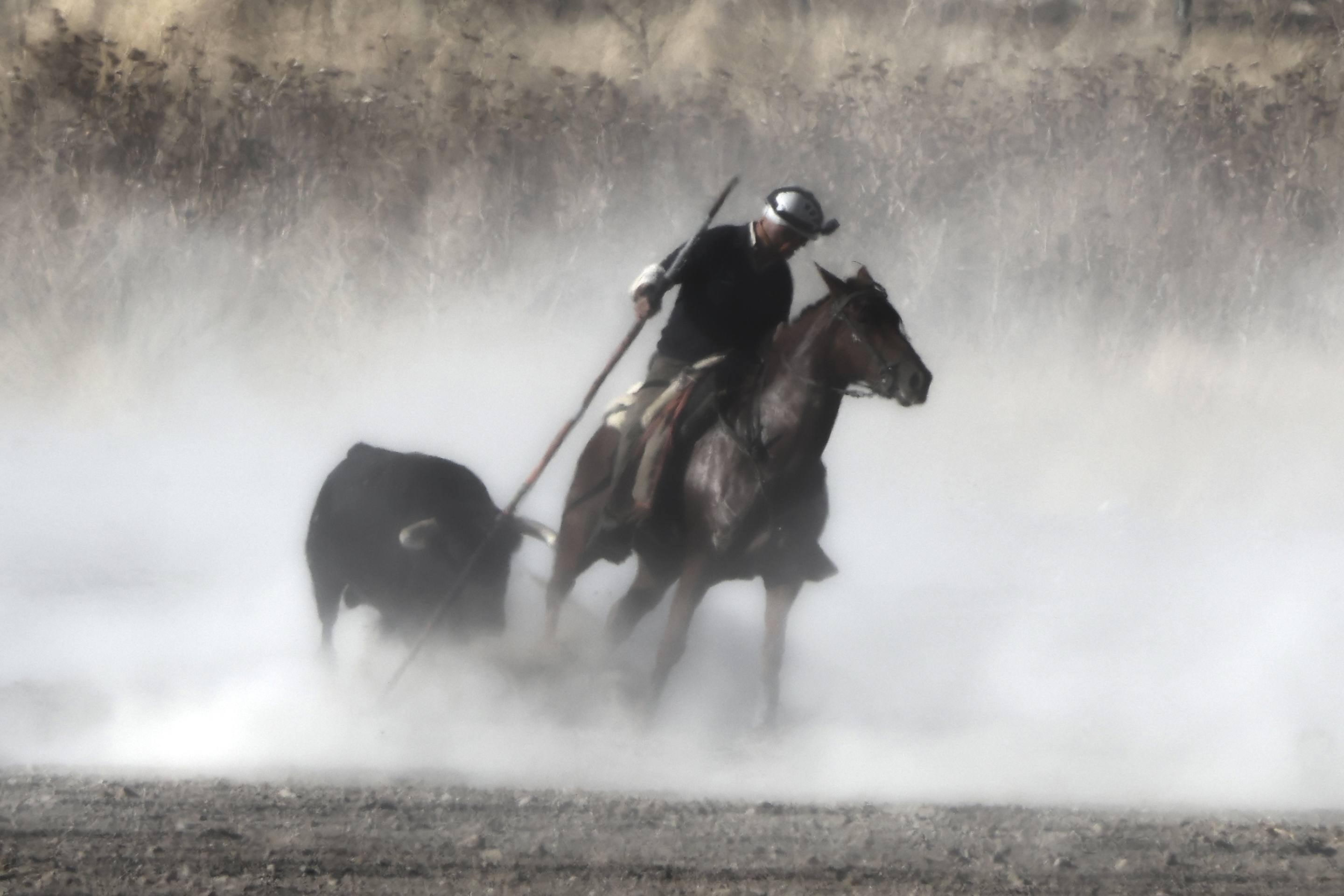 Las imágenes del encierro en Olmedo