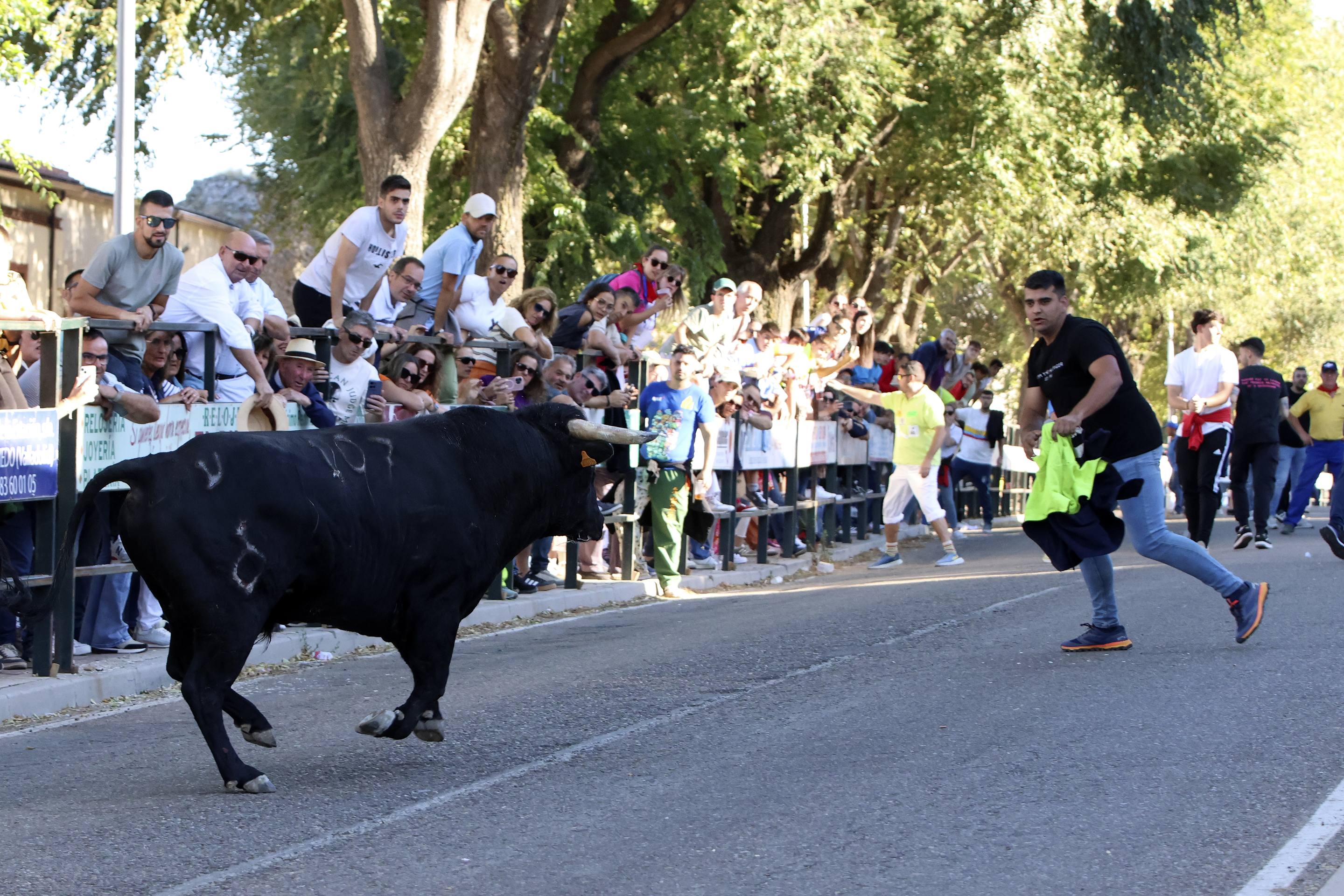 Las imágenes del encierro en Olmedo