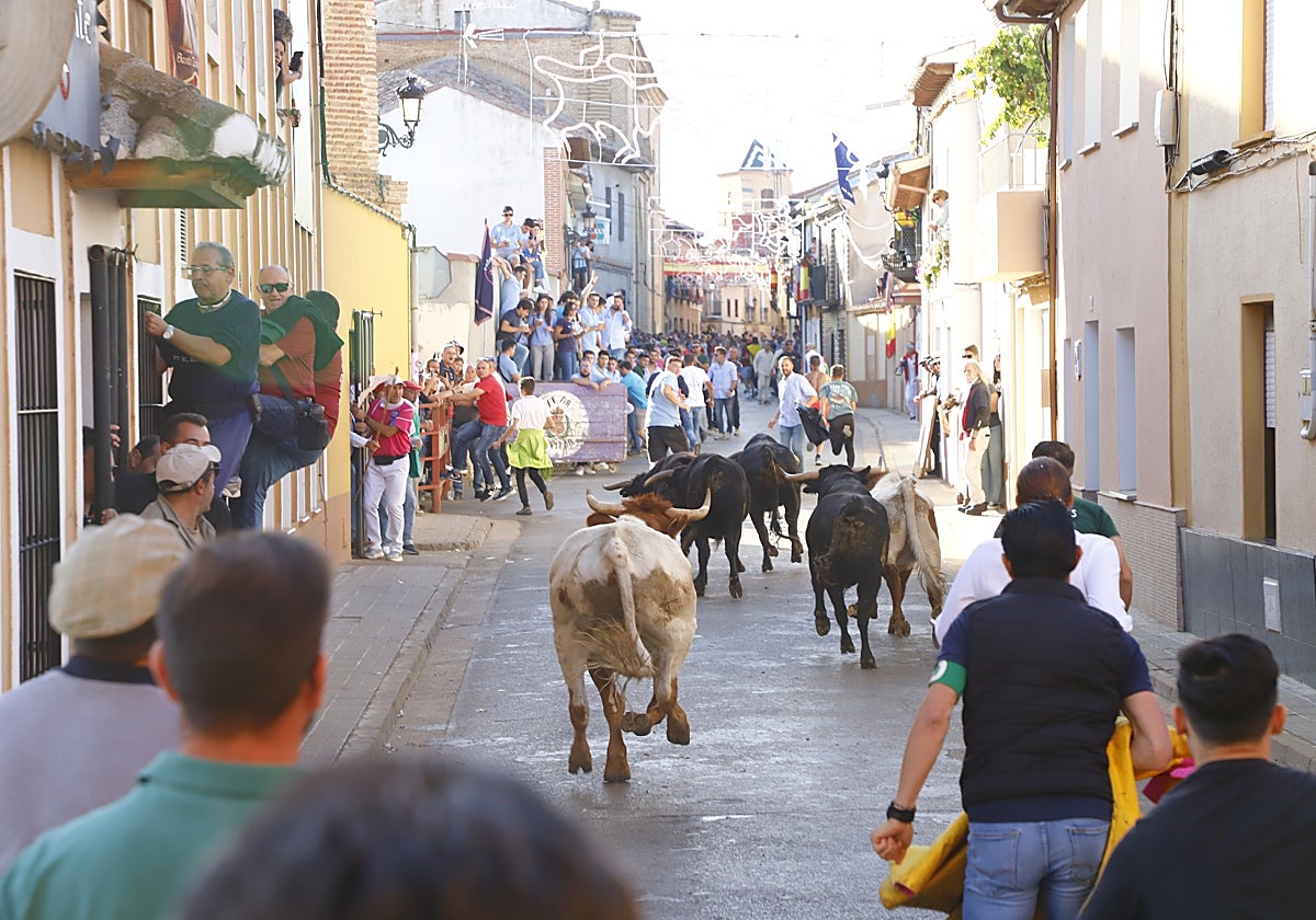 Encierro al estilo de Mayorga corriendo por la calle Derecha