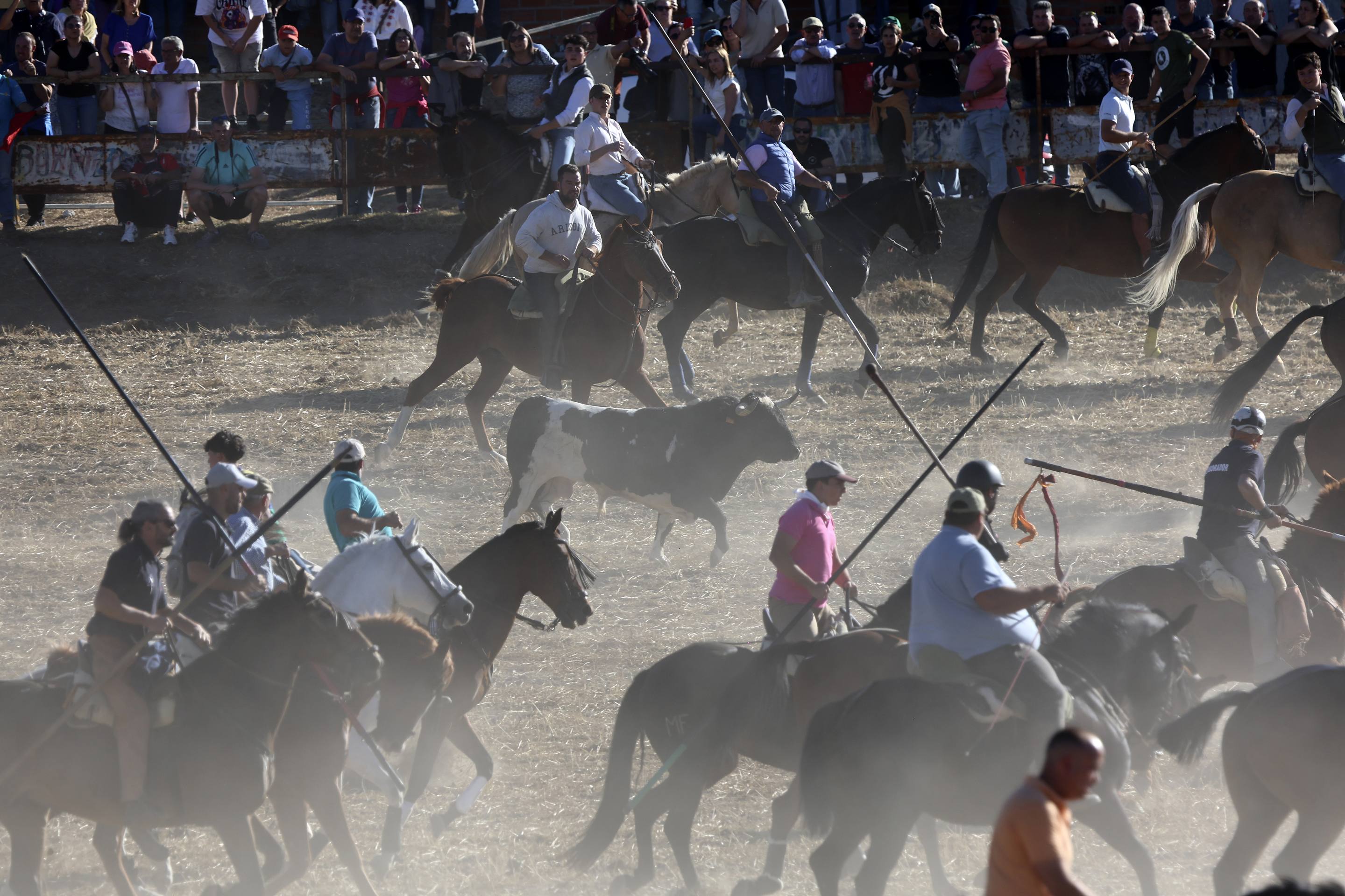 El encierro en Olmedo, en imágenes