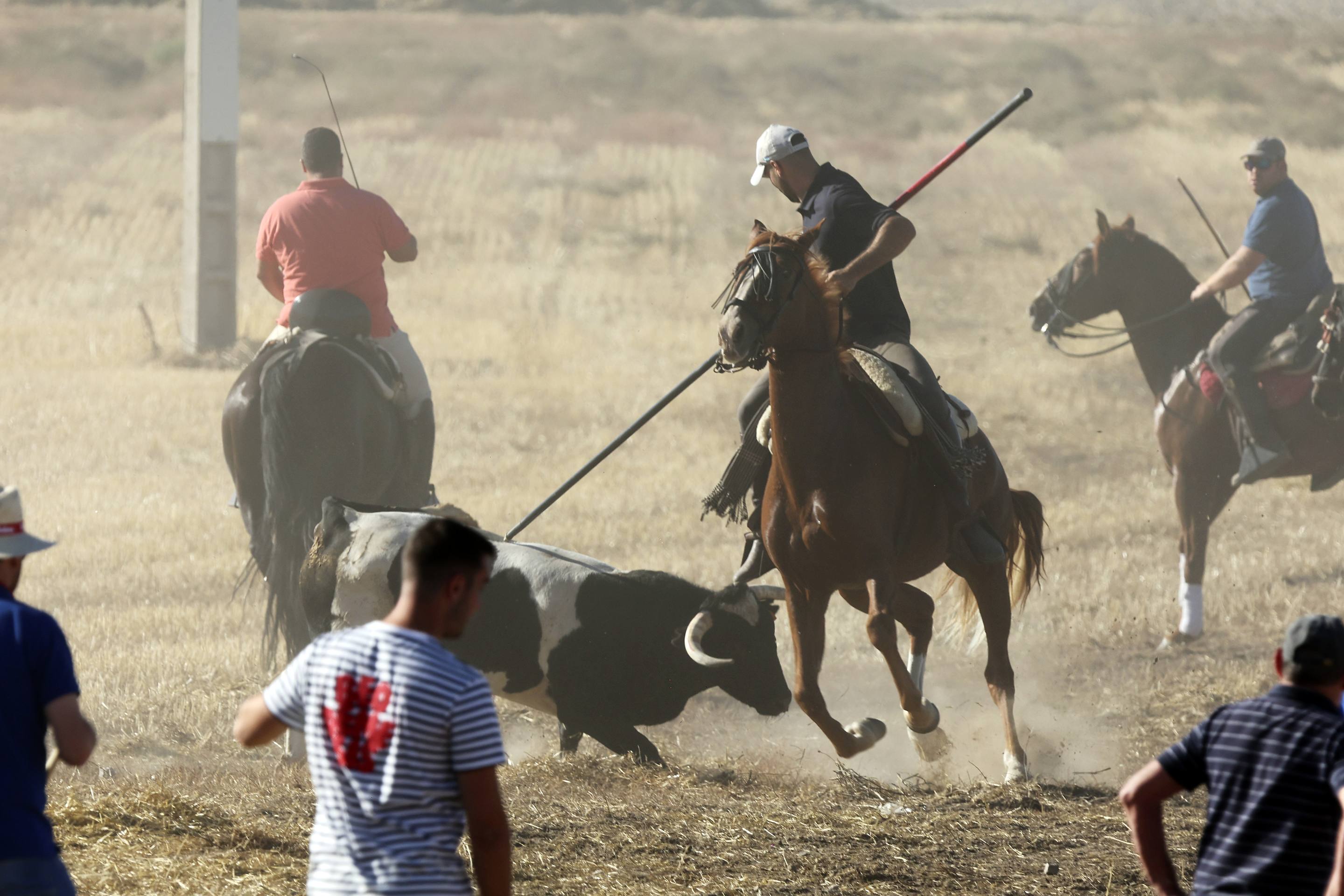 El encierro en Olmedo, en imágenes