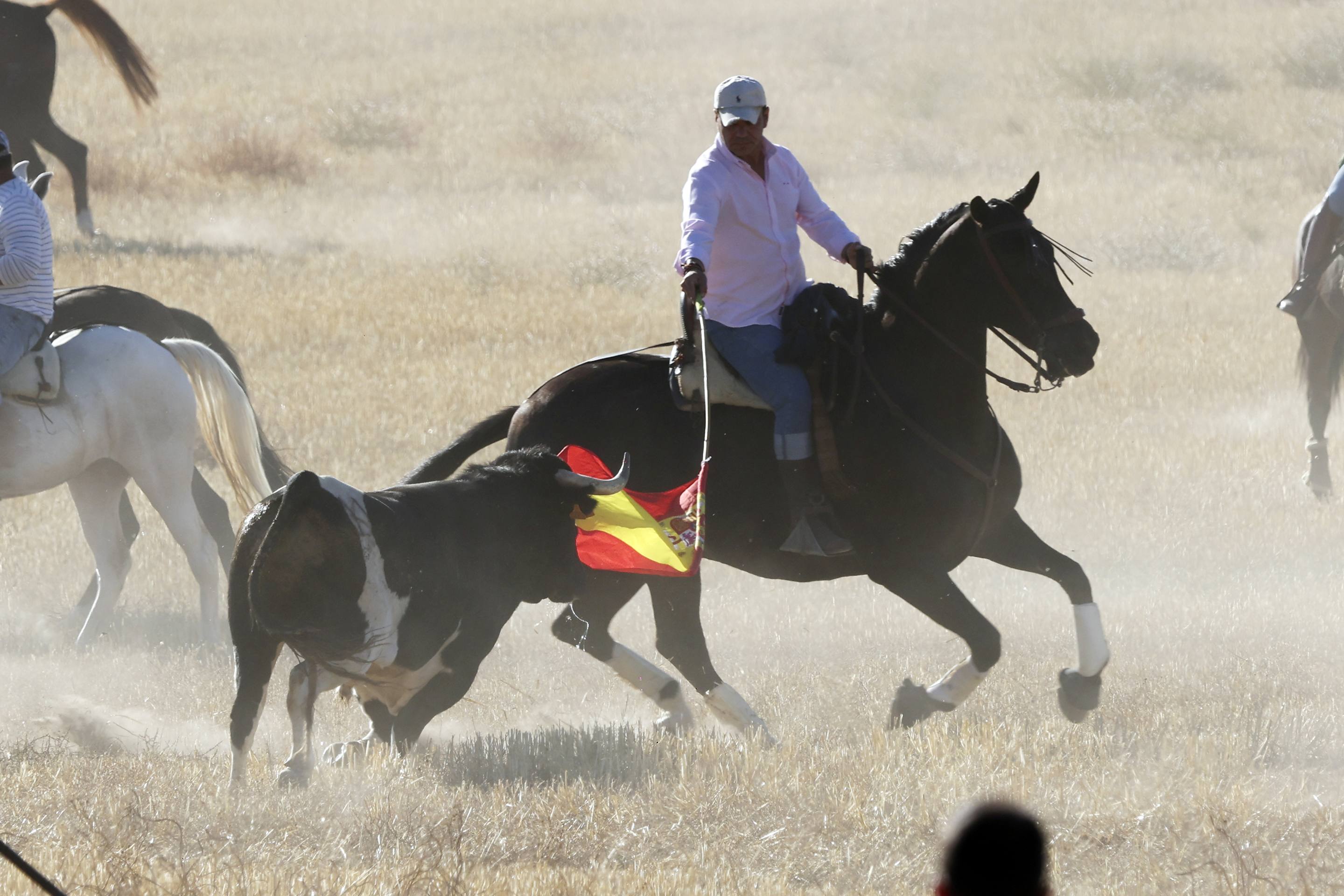 El encierro en Olmedo, en imágenes
