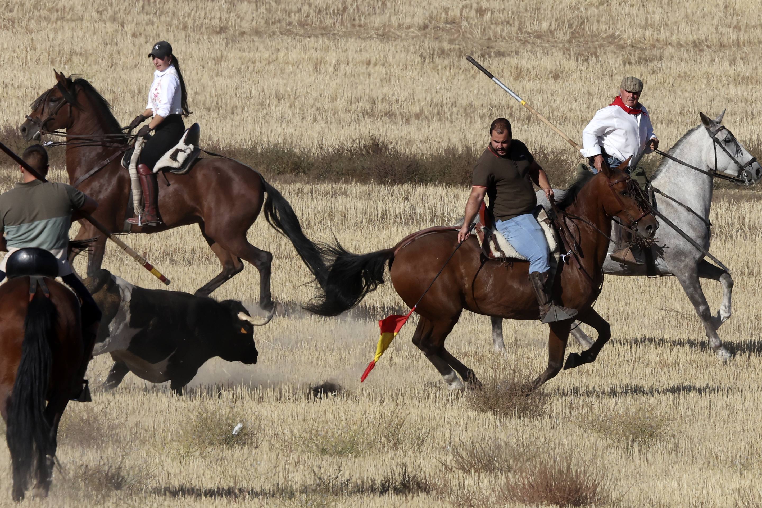 El encierro en Olmedo, en imágenes