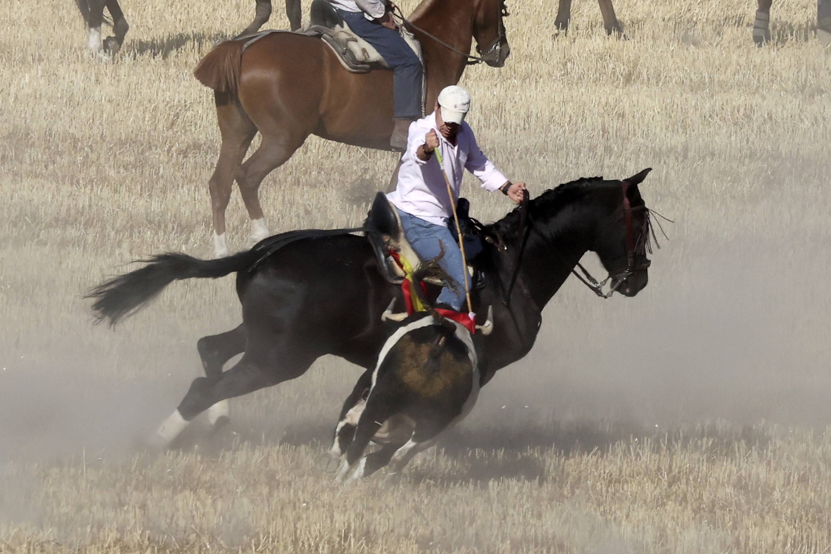 El encierro en Olmedo, en imágenes