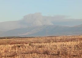 El humo del incendio de Guadalajara es visible desde puntos del nordeste de Segovia.