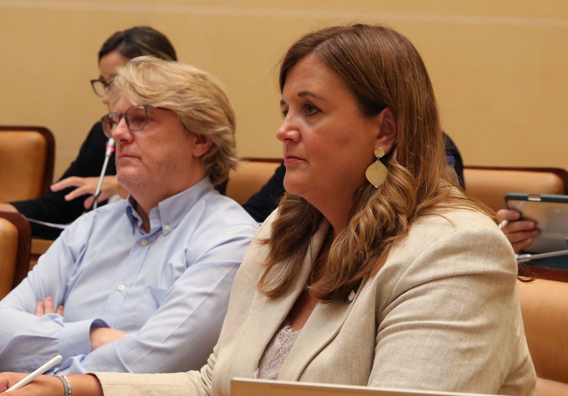 El pleno del Ayuntamiento de Segovia, en imágenes