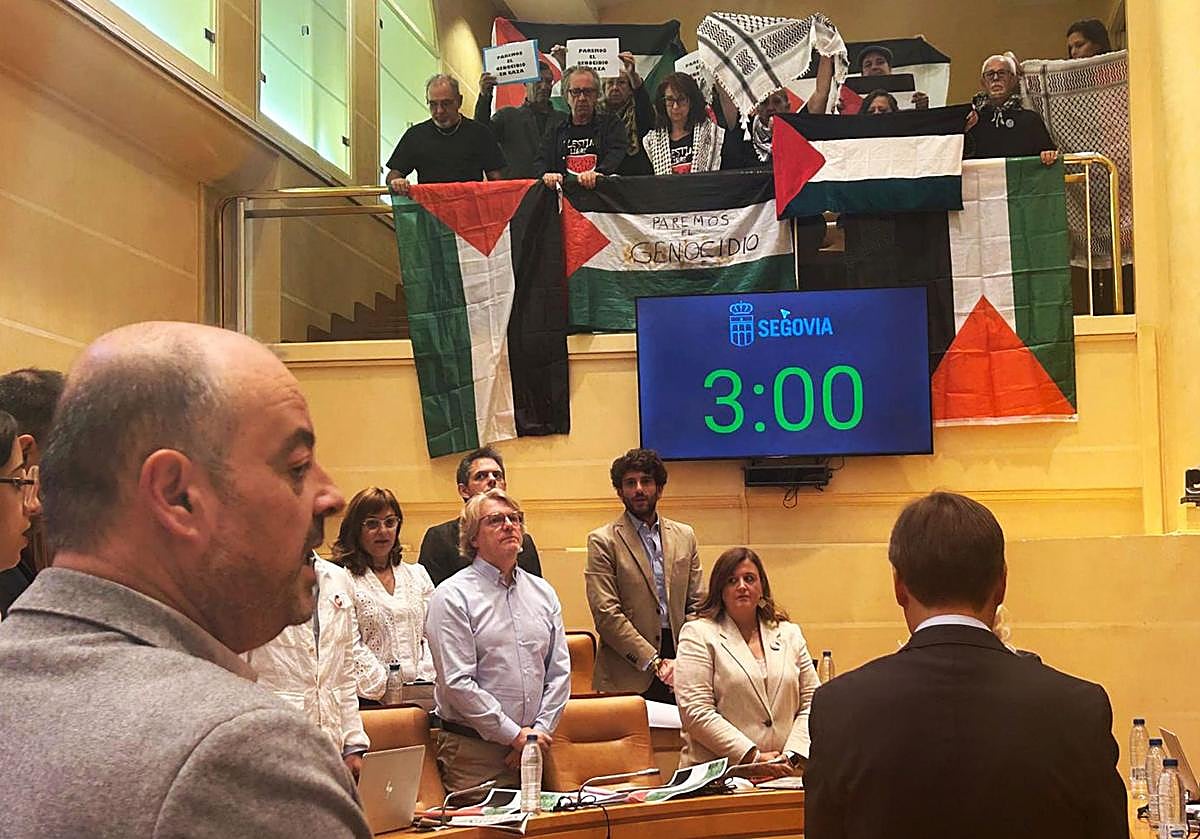 Activistas por Palestina, en el pleno municipal de este viernes.