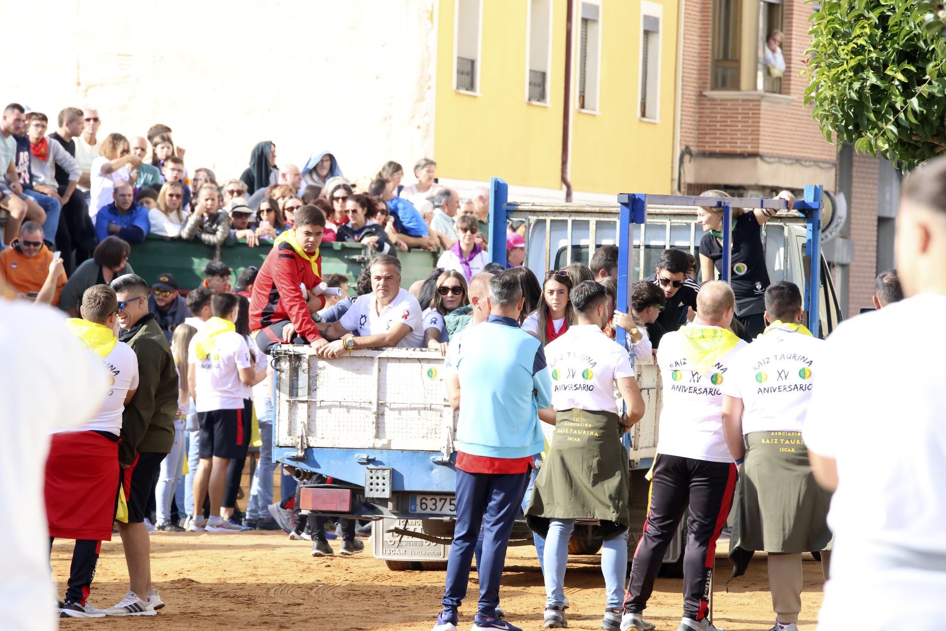 Toro del Cajón en Íscar