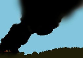 La viñeta de Rodera