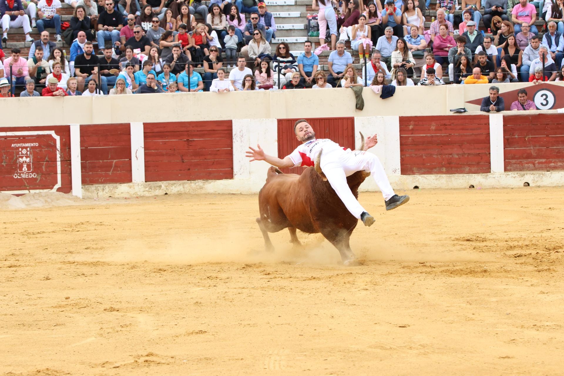 Fotografías del concurso de cortes celebrado en Olmedo