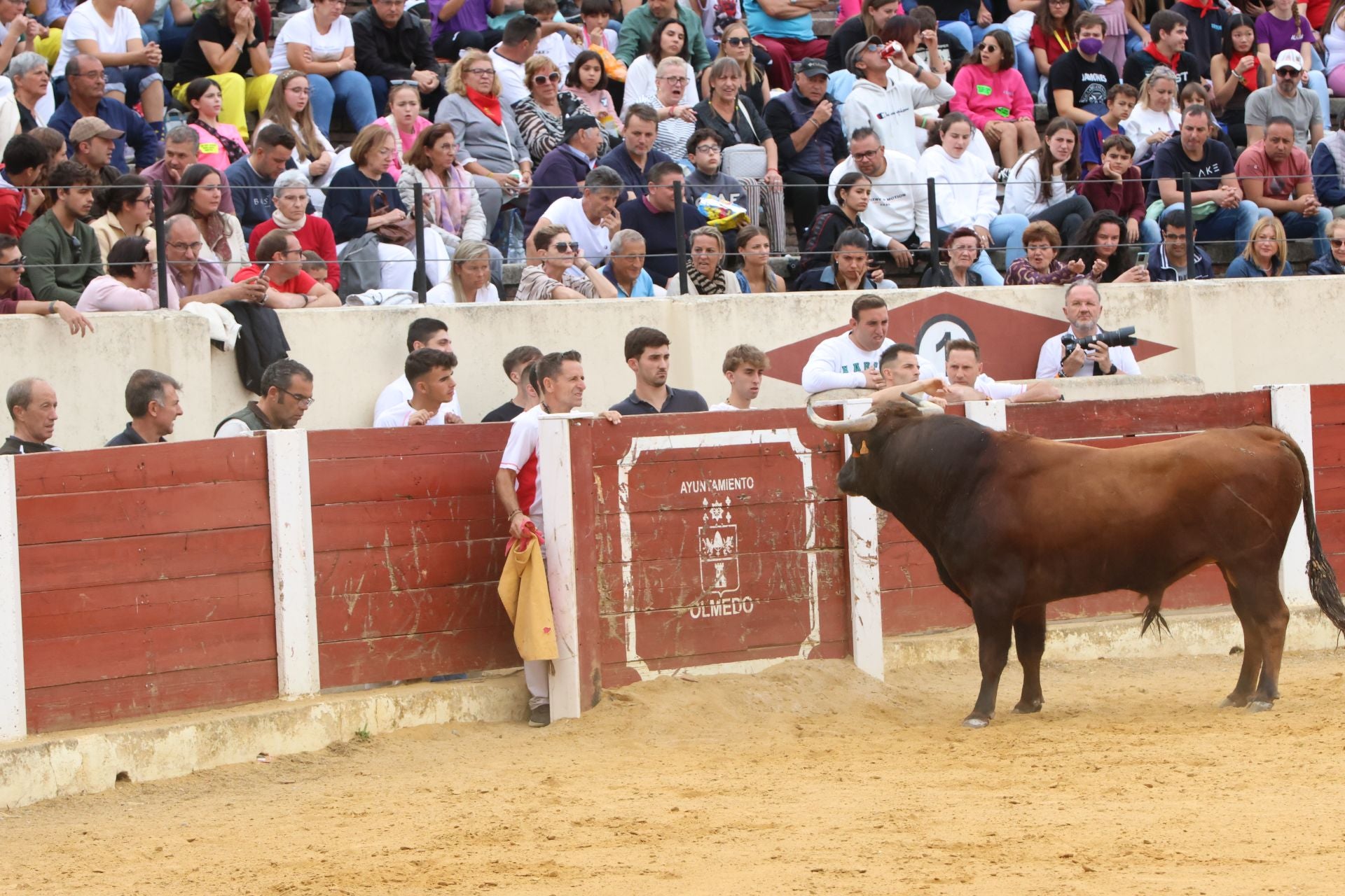 Fotografías del concurso de cortes celebrado en Olmedo