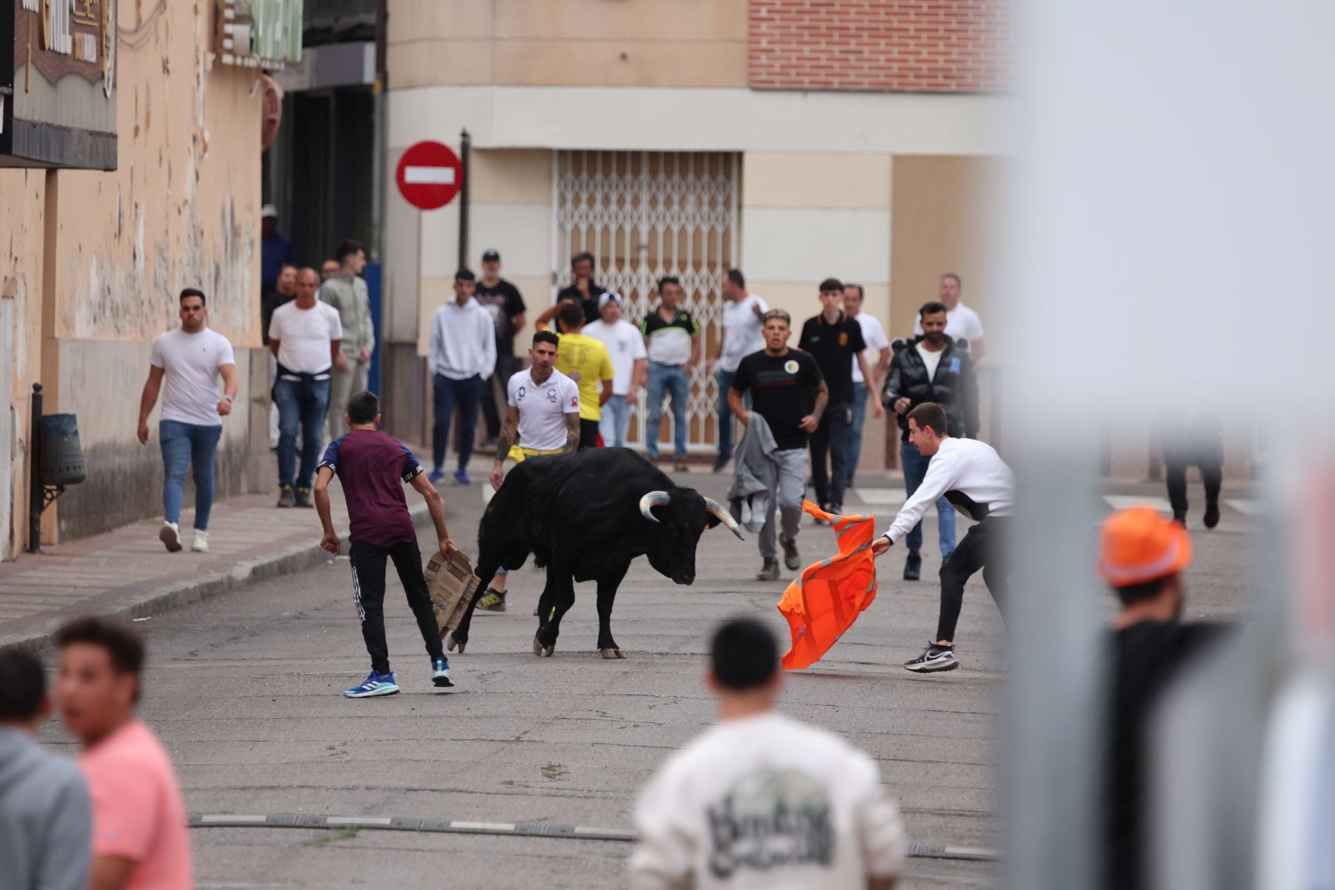 Las imágenes del encierro urbano celebrado en Íscar