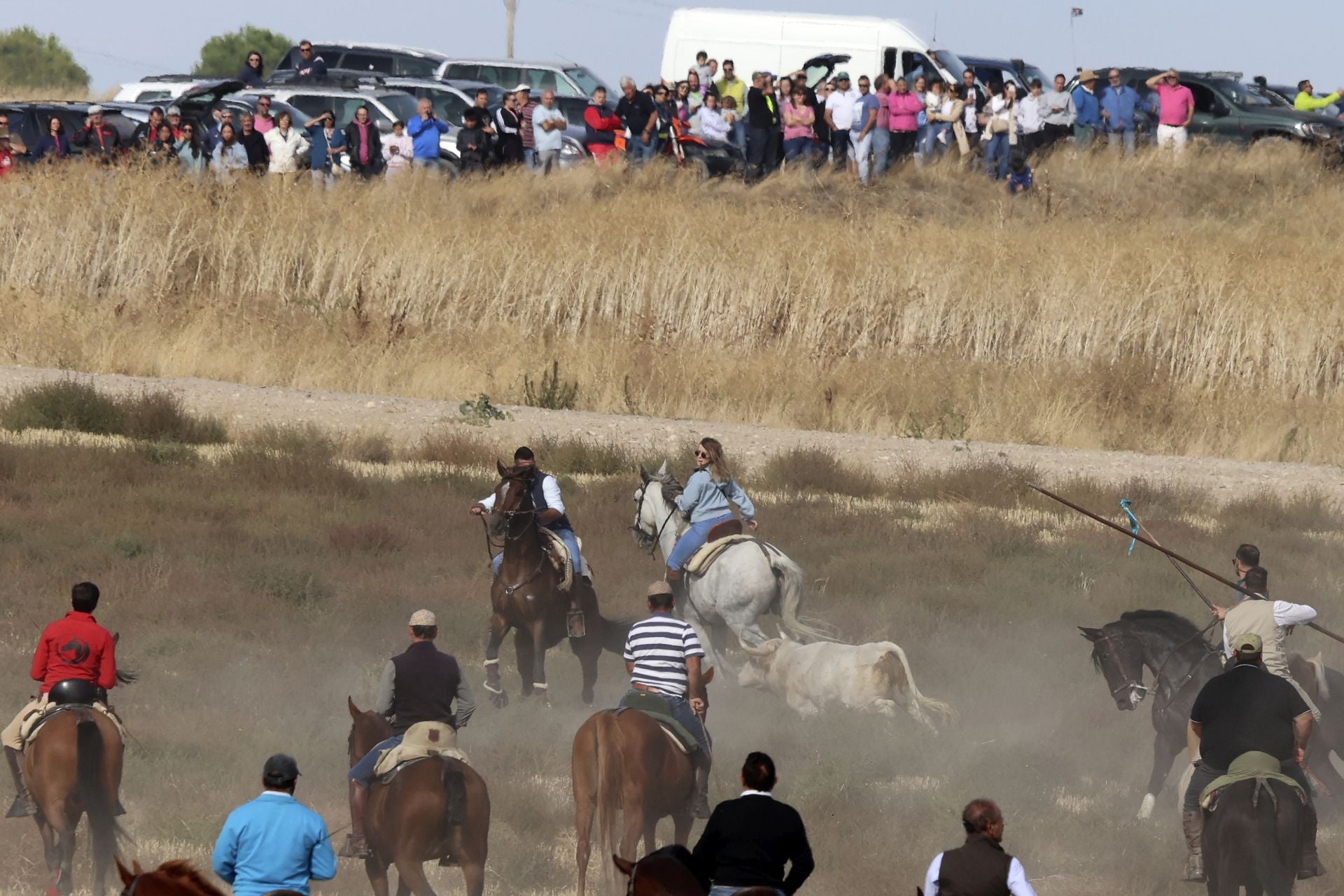 Encierro en Olmedo el sábado por la mañana