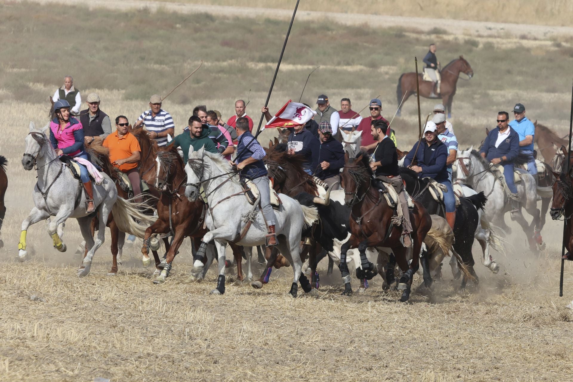 Encierro en Olmedo el sábado por la mañana