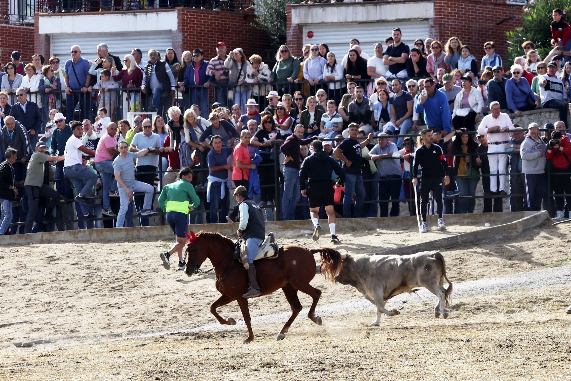 Encierro en Olmedo el sábado por la mañana