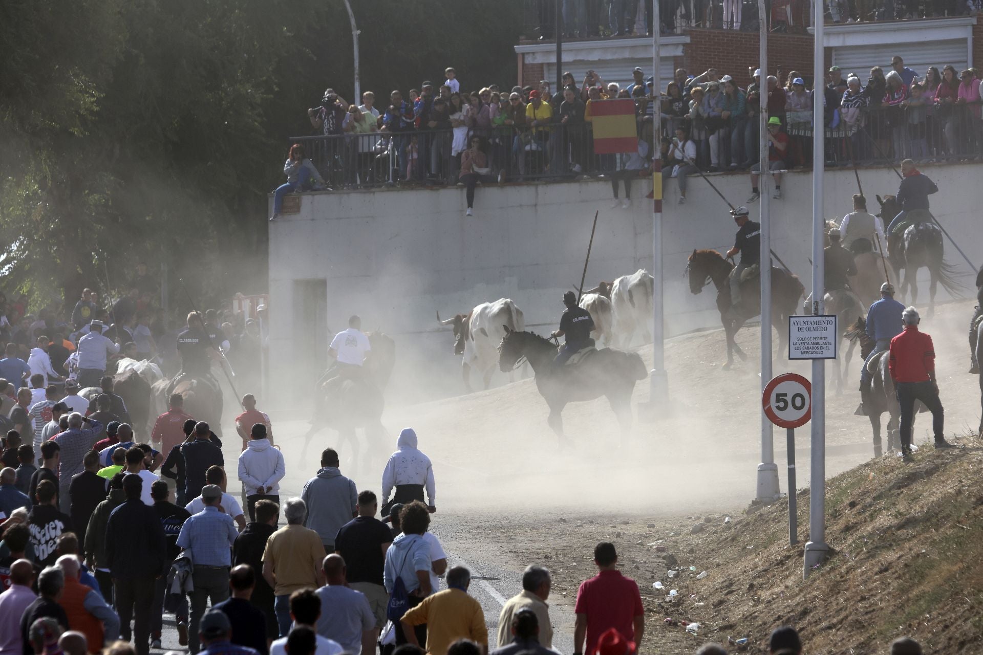 Encierro en Olmedo el sábado por la mañana