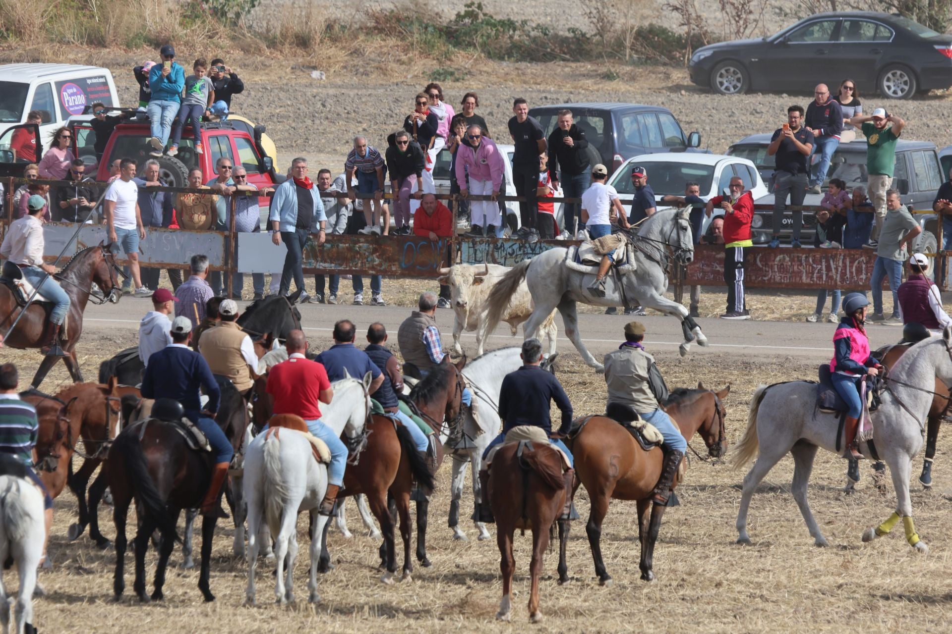 Encierro en Olmedo el sábado por la mañana