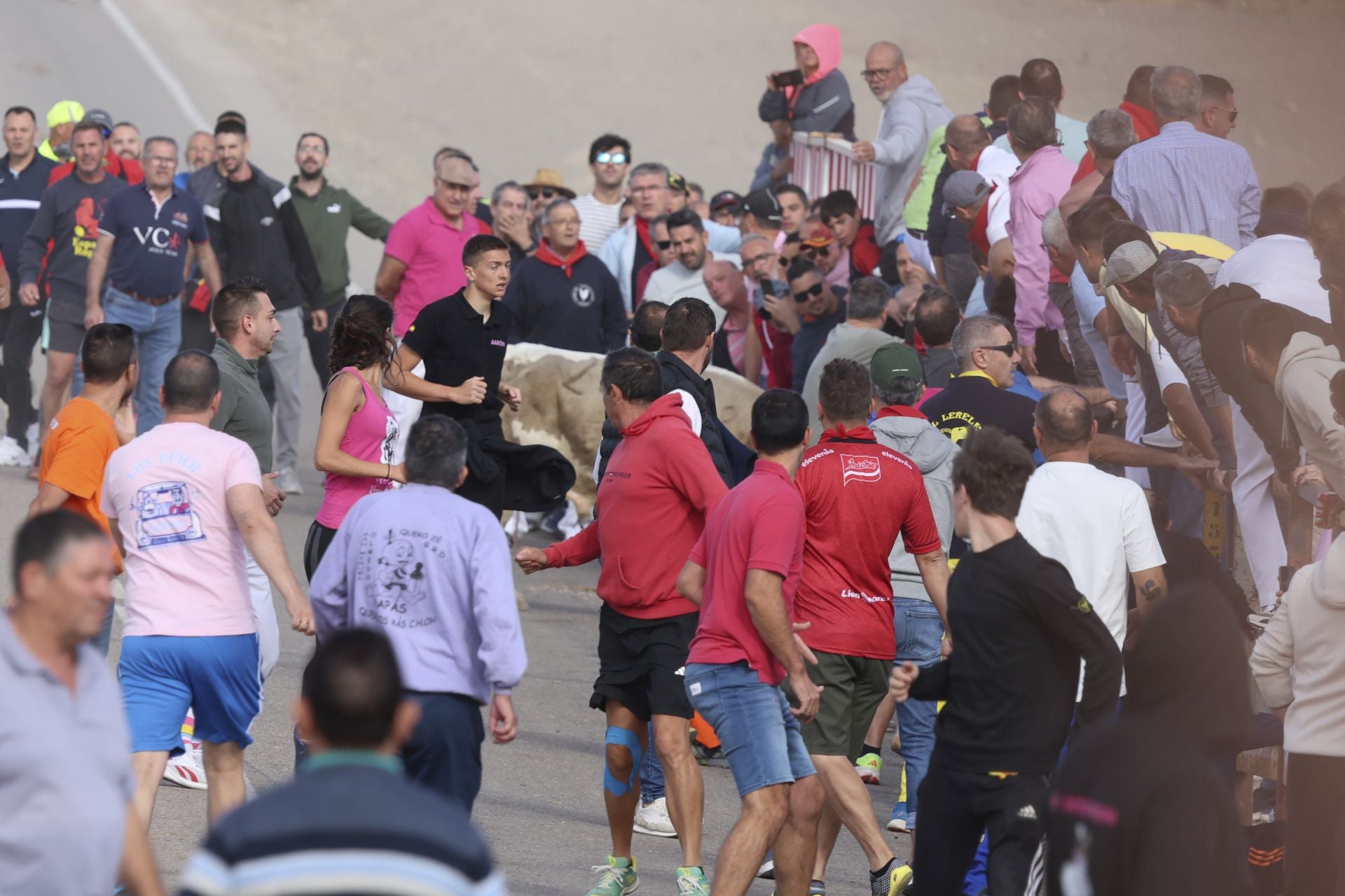 Encierro en Olmedo el sábado por la mañana