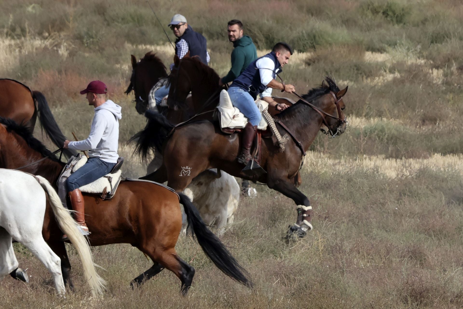 Encierro en Olmedo el sábado por la mañana