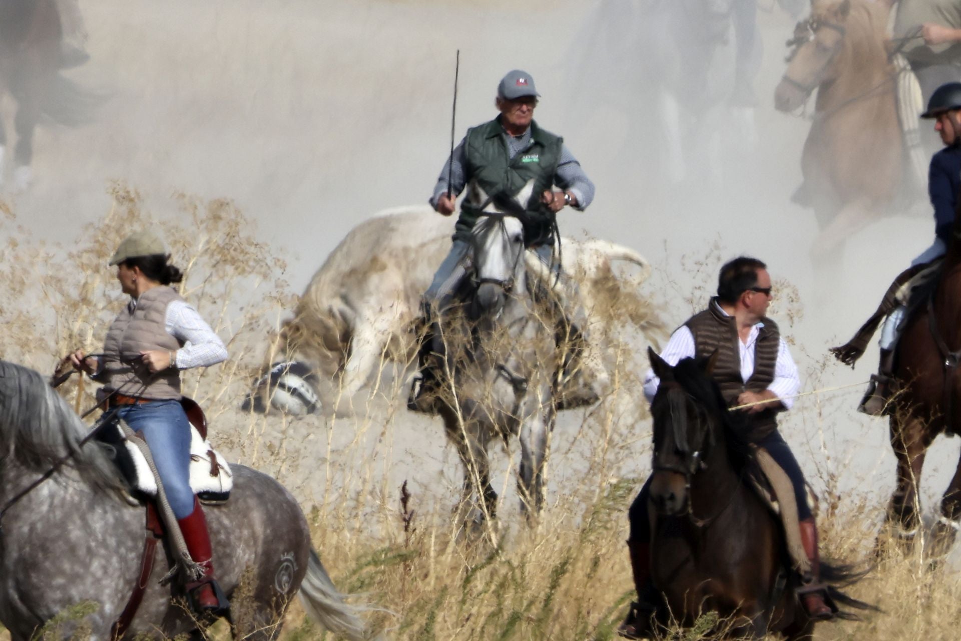 Encierro en Olmedo el sábado por la mañana