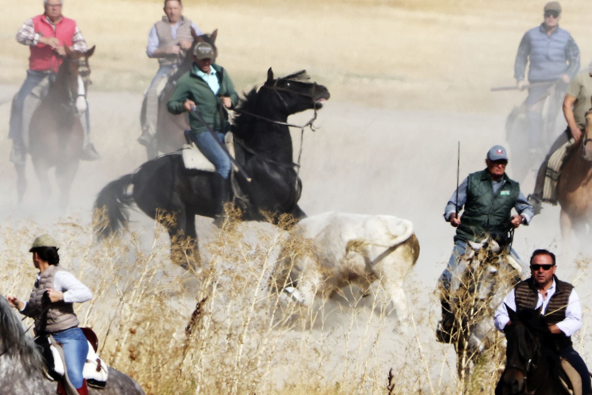 Encierro en Olmedo el sábado por la mañana