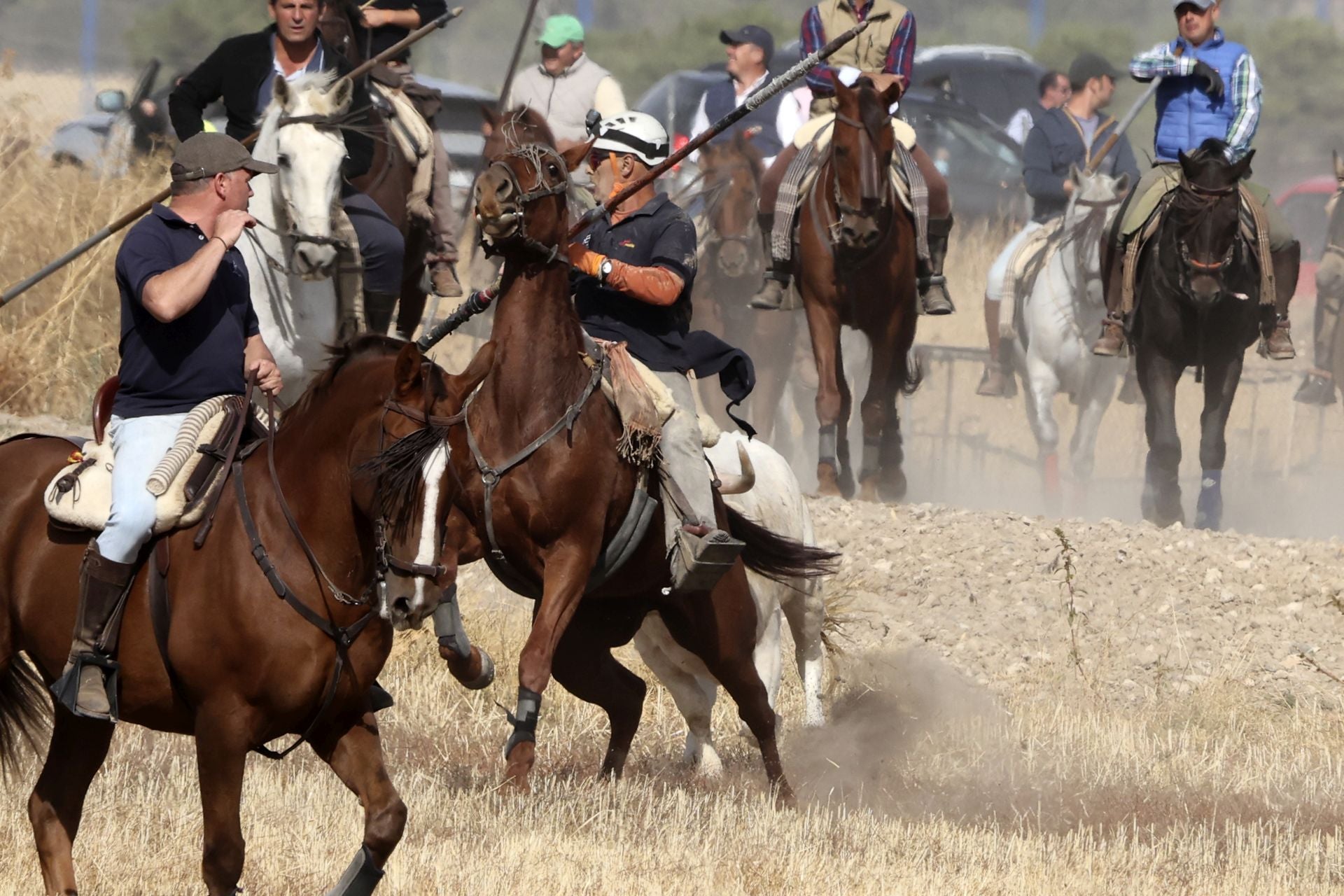 Encierro en Olmedo el sábado por la mañana