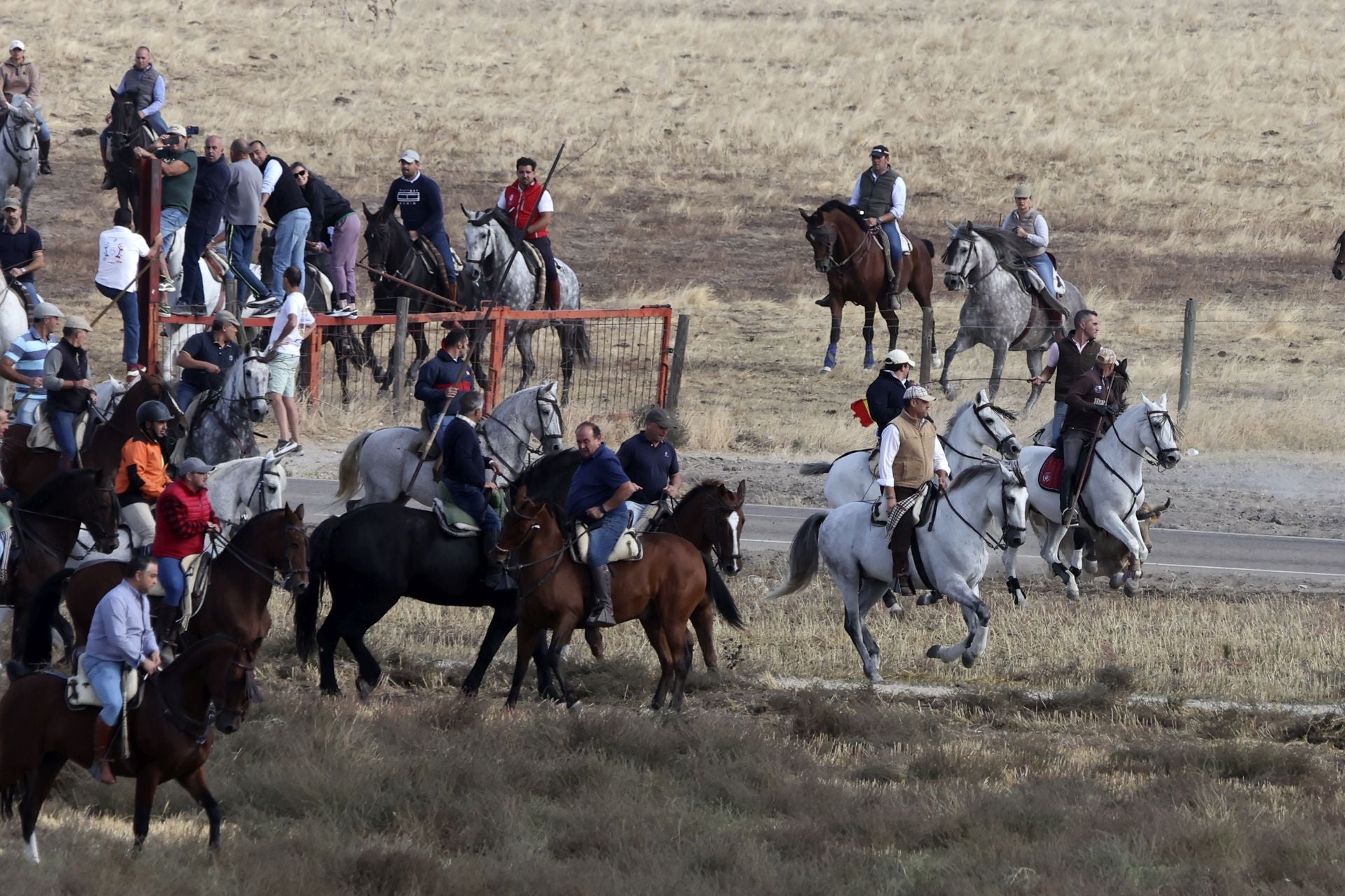 Encierro en Olmedo el sábado por la mañana