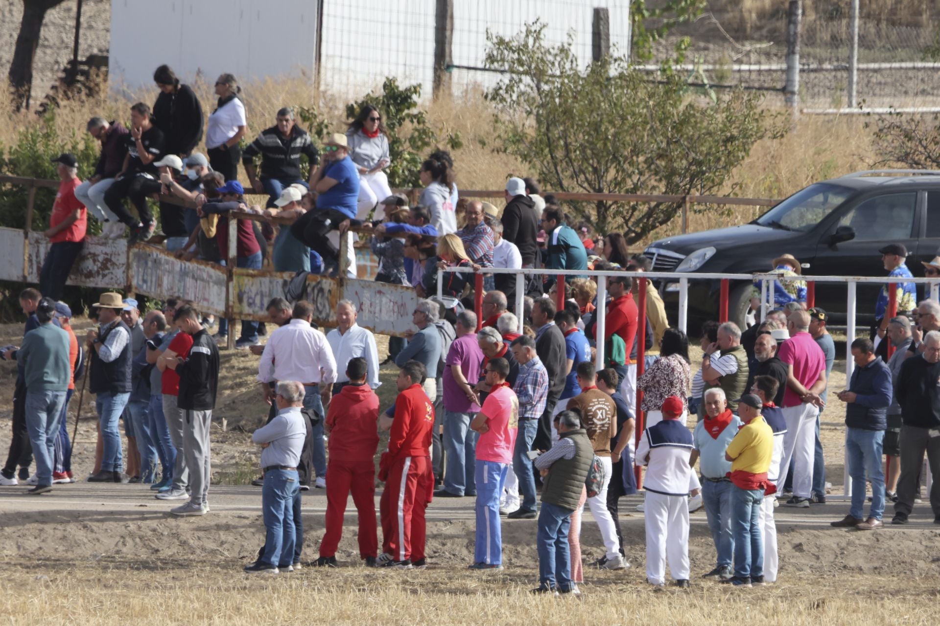 Encierro en Olmedo el sábado por la mañana