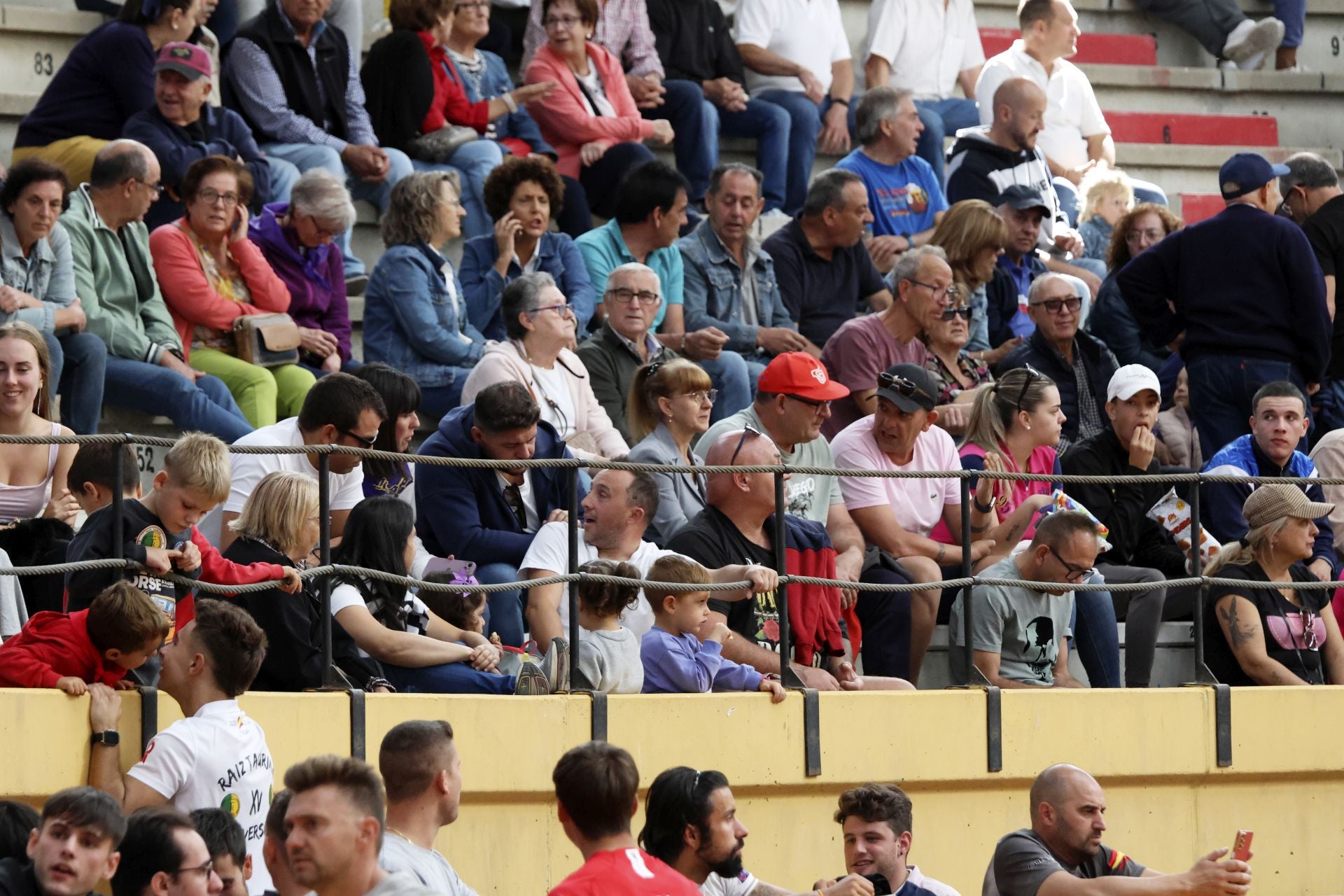 Toro del Cajón en Íscar