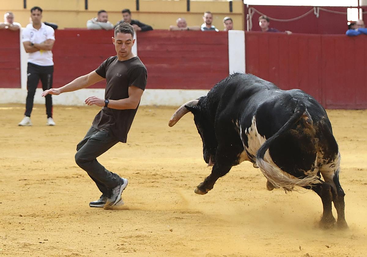Uno de los recortadores, durante los festejos taurinos de Íscar.
