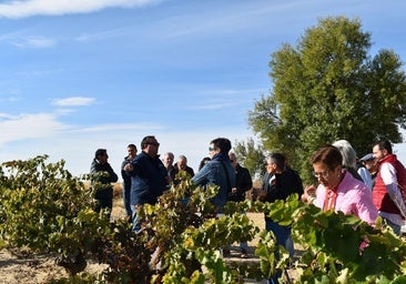 Mucientes celebra su 21º Vendimiario