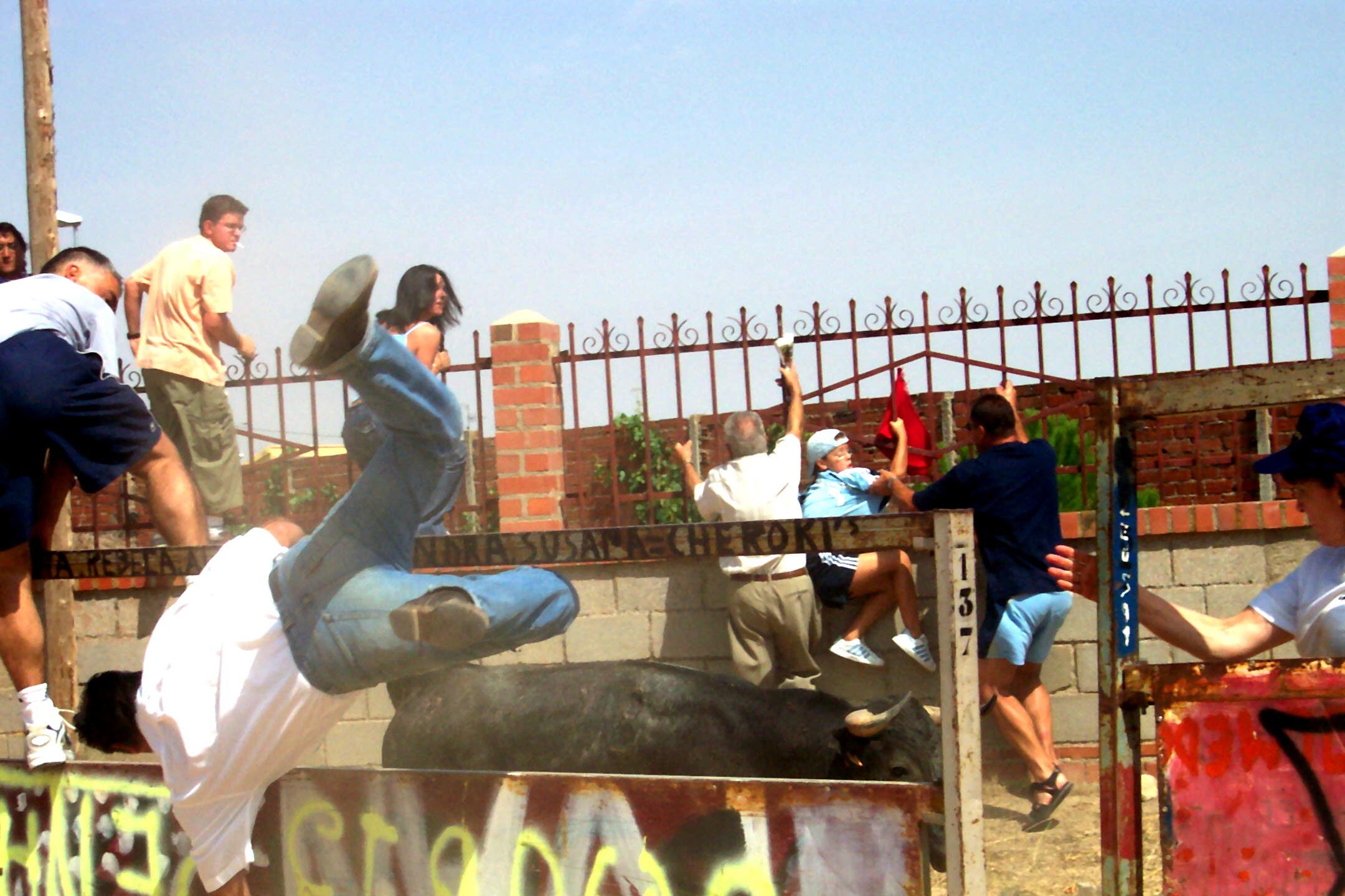 Encierro durante las fiestas de Matapozuelos. 25 de julio de 2004.