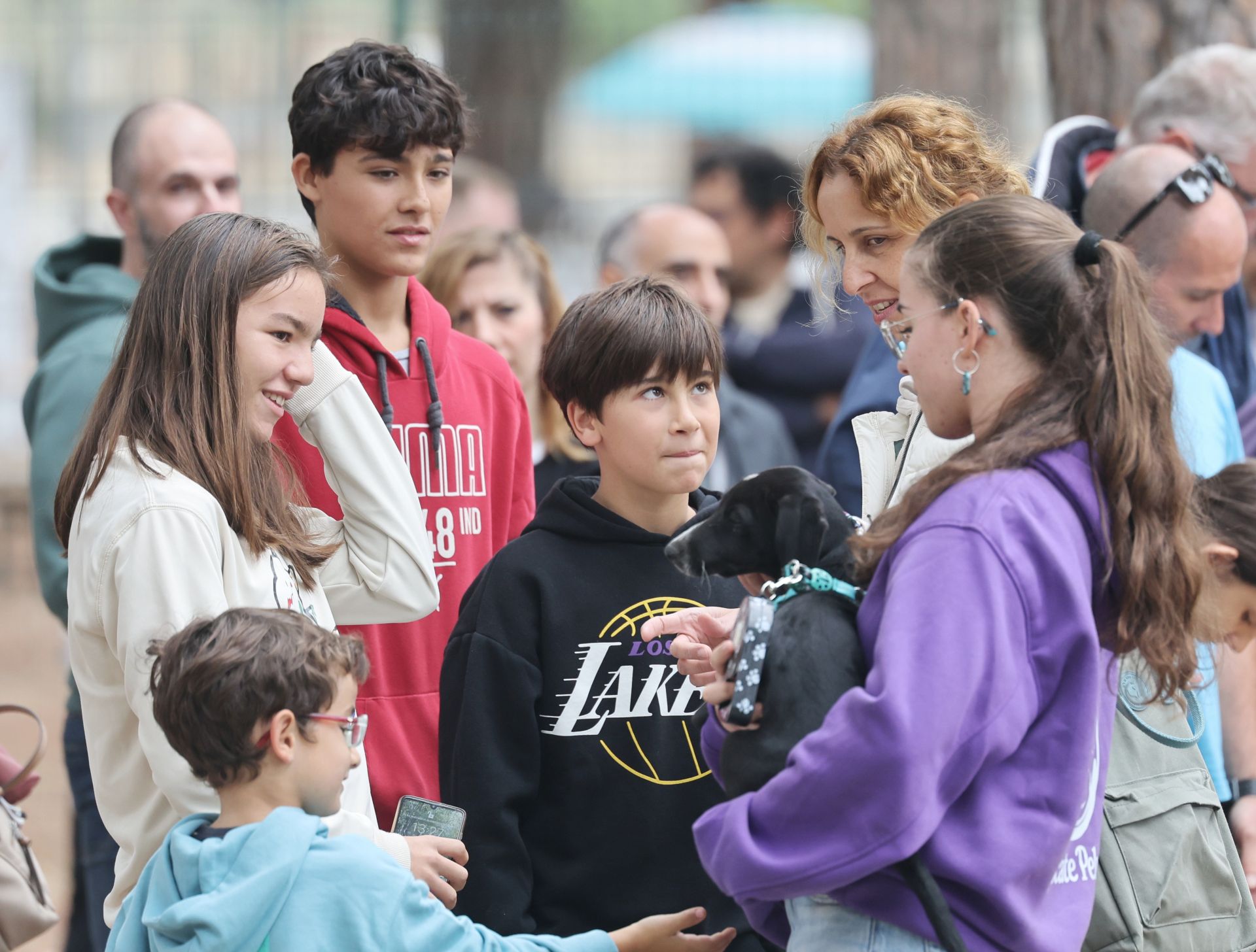 Las protectoras de animales de Valladolid organizan un desfile de perros
