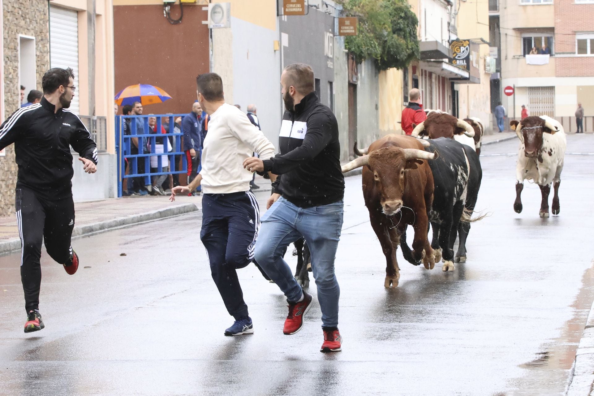 Las imágenes del encierro del domingo en las fiestas de Íscar