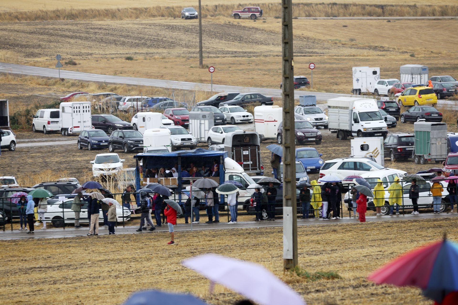 Encierro del domingo en las fiestas de Olmedo