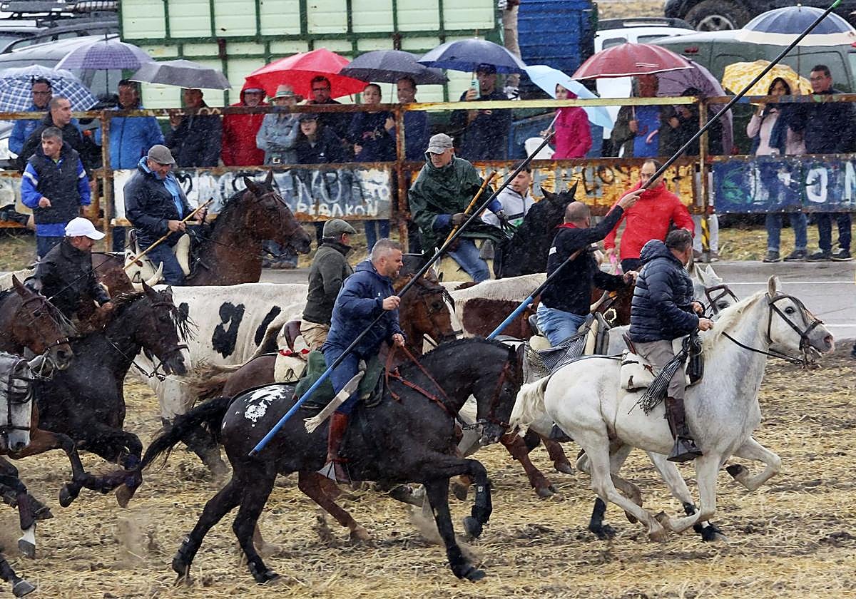 Los caballistas guían a los astados durante el encierro dominical.