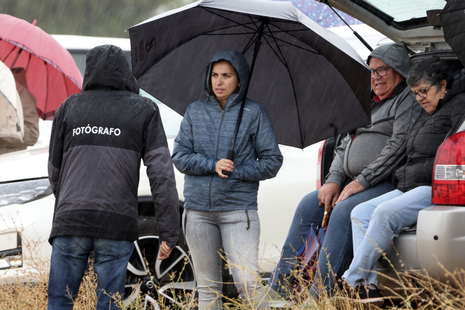 Encierro del domingo en las fiestas de Olmedo