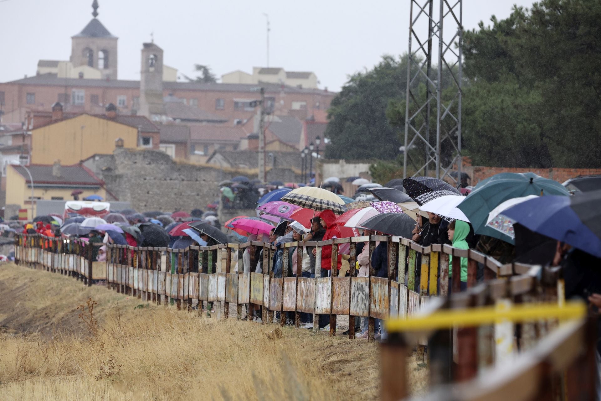 Encierro del domingo en las fiestas de Olmedo
