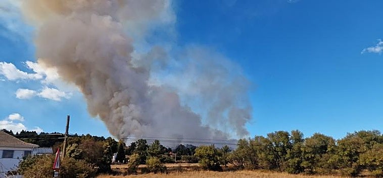 Imagen del incendio en Riello.
