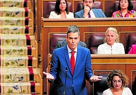 Pedro Sánchez, durante una sesión en el Congreso.
