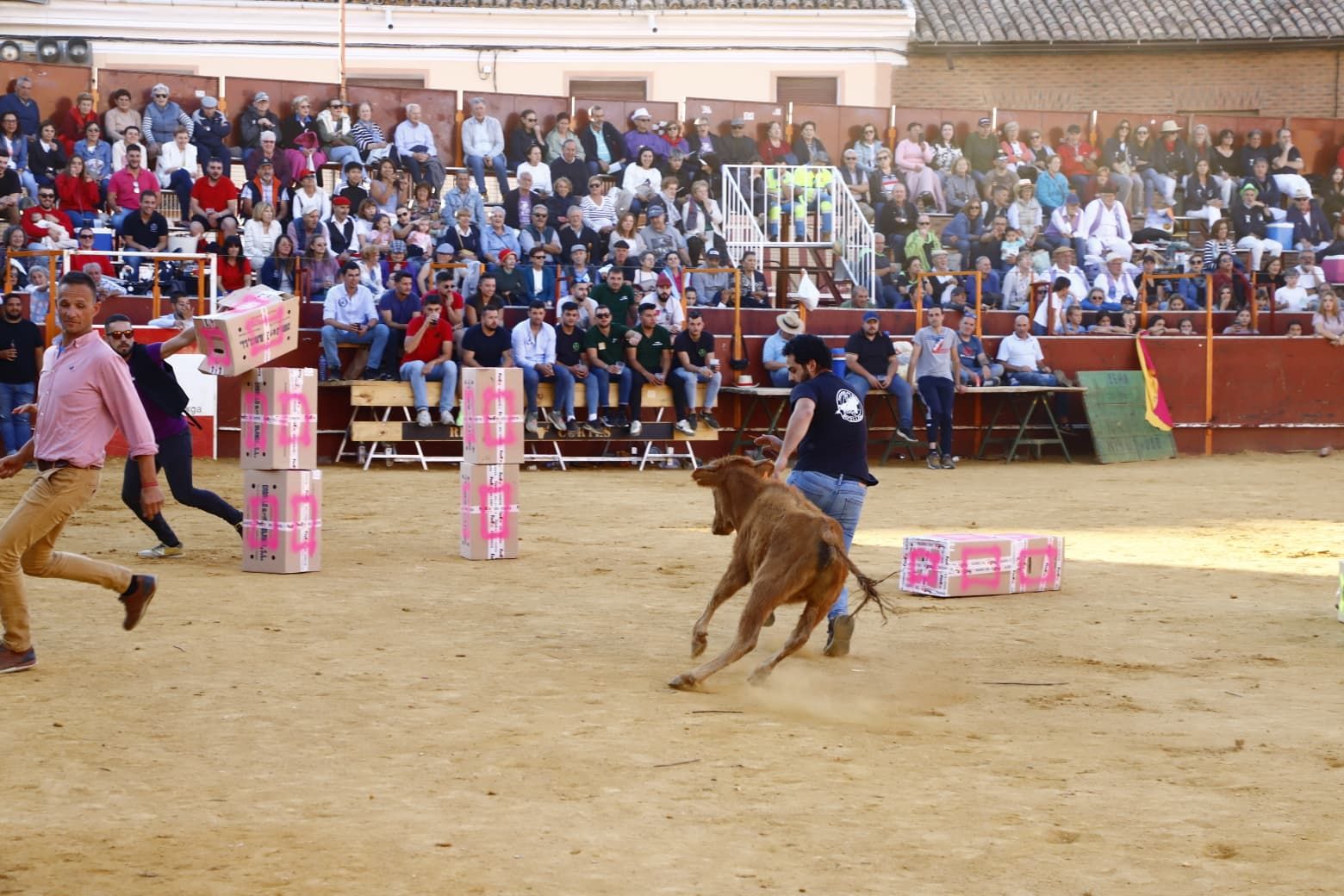 El día de las peñas de Mayorga, en imágenes
