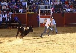 El día de las peñas de Mayorga, en imágenes