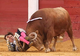 Roca Rey, durante la cogida en Valladolid.
