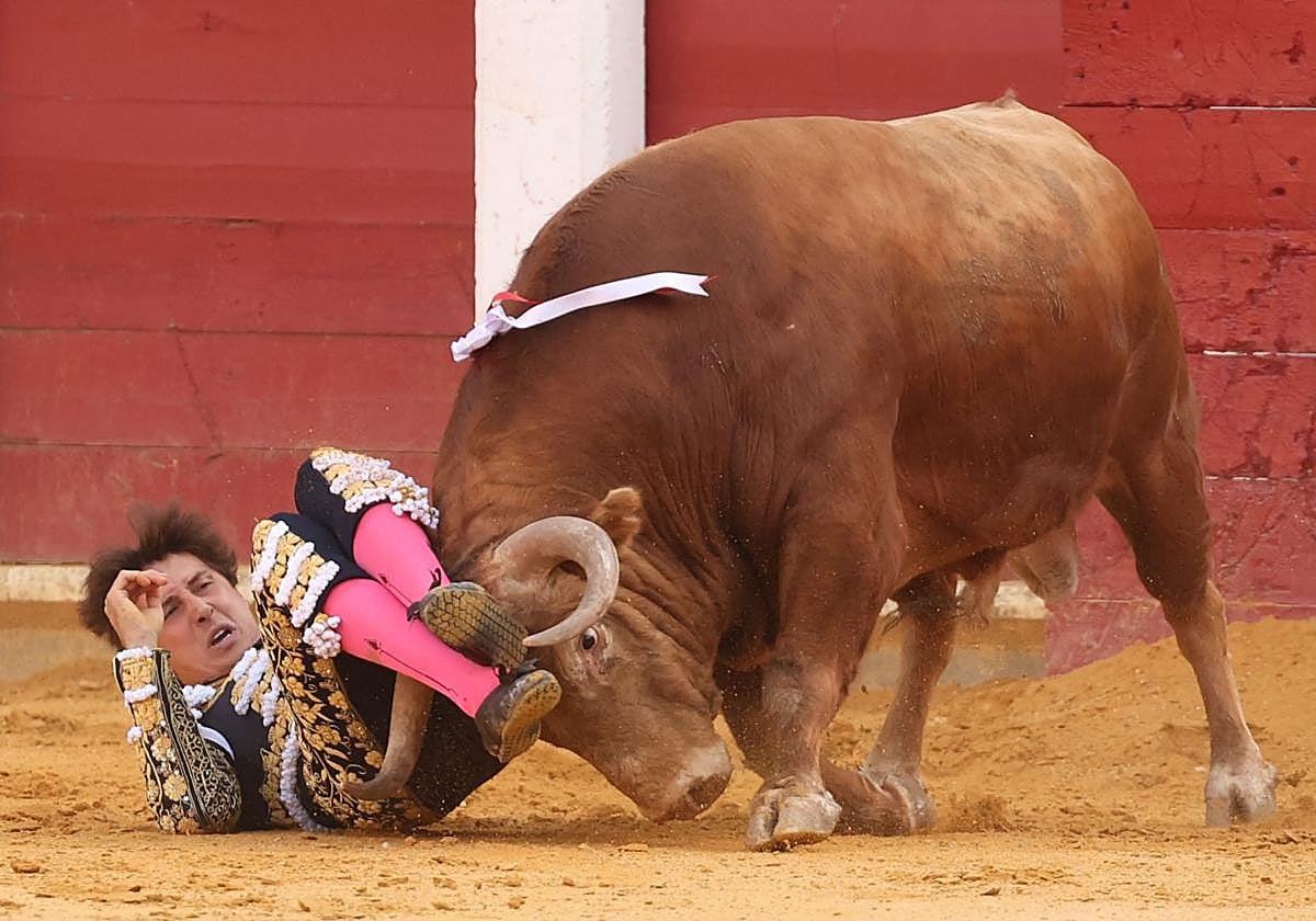 Roca Rey, durante la cogida en Valladolid.
