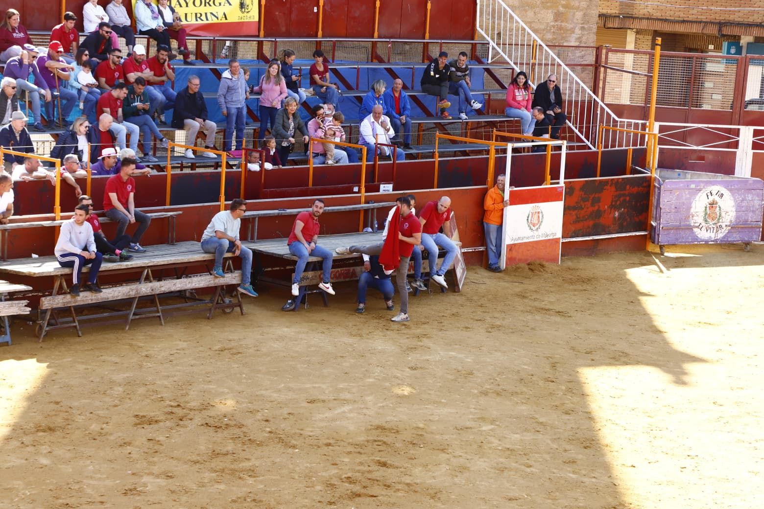 El día de las peñas de Mayorga, en imágenes