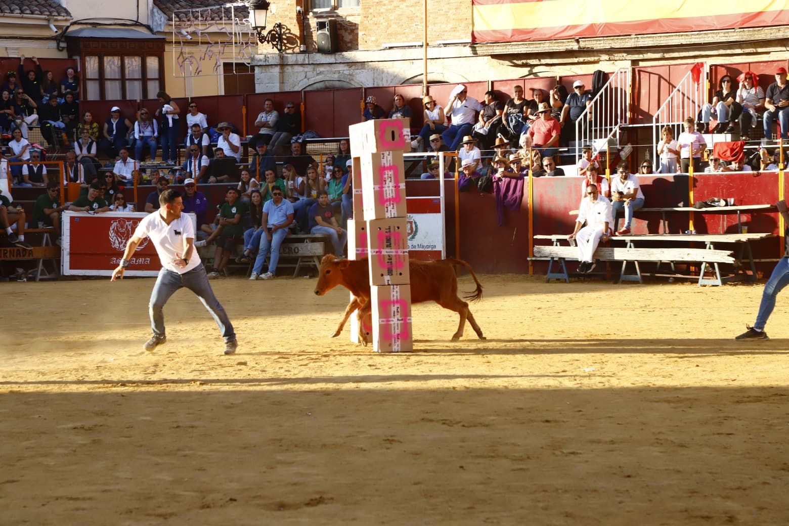 El día de las peñas de Mayorga, en imágenes