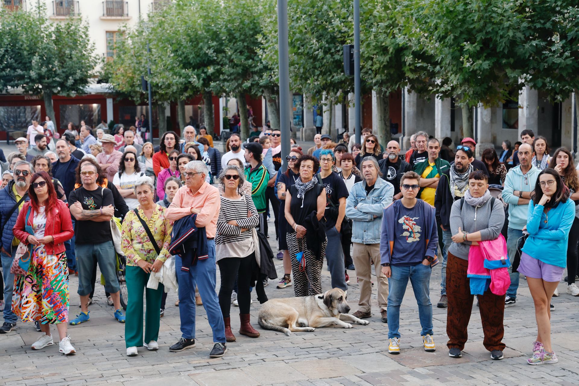 Así ha sido la concentración contra las agresiones homófobas en Palencia